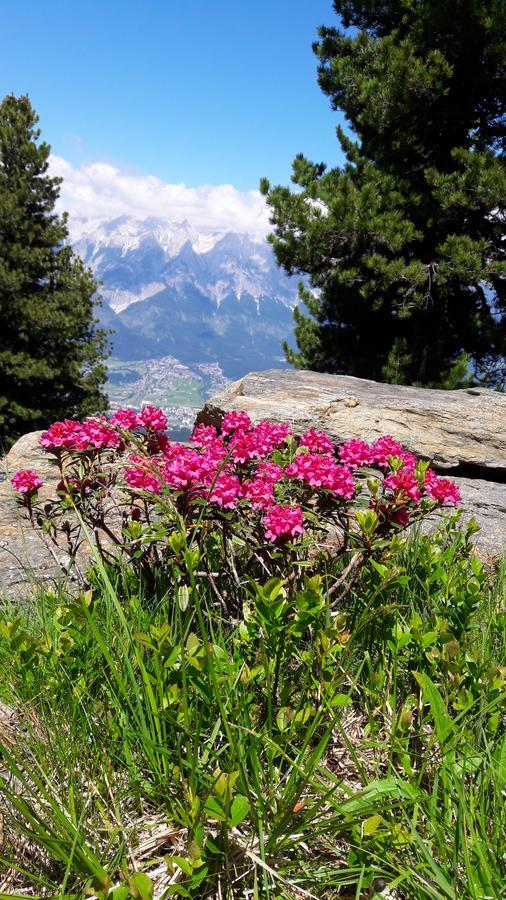 Apartments Feichtner Manfred -Tulfes - Innsbruck-Land - Tirol ภายนอก รูปภาพ